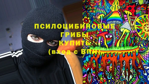 шишки Бронницы